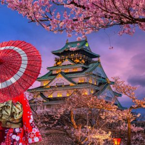 KORE-JAPONYA DİSNEYLAND K-POP AİLE TURU KURBAN BAYRAMI