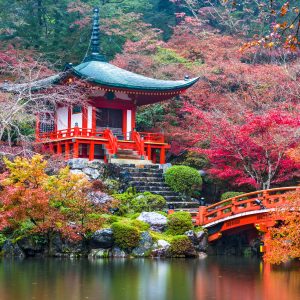 KORE-JAPONYA DİSNEYLAND K-POP AİLE TURU KASIM ARA TATİL